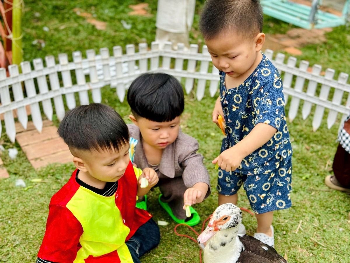 Ảnh hoạt động