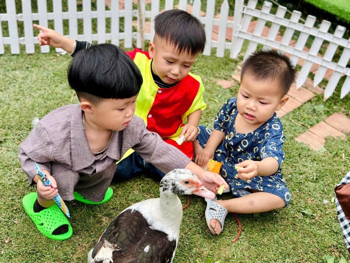 Ảnh hoạt động