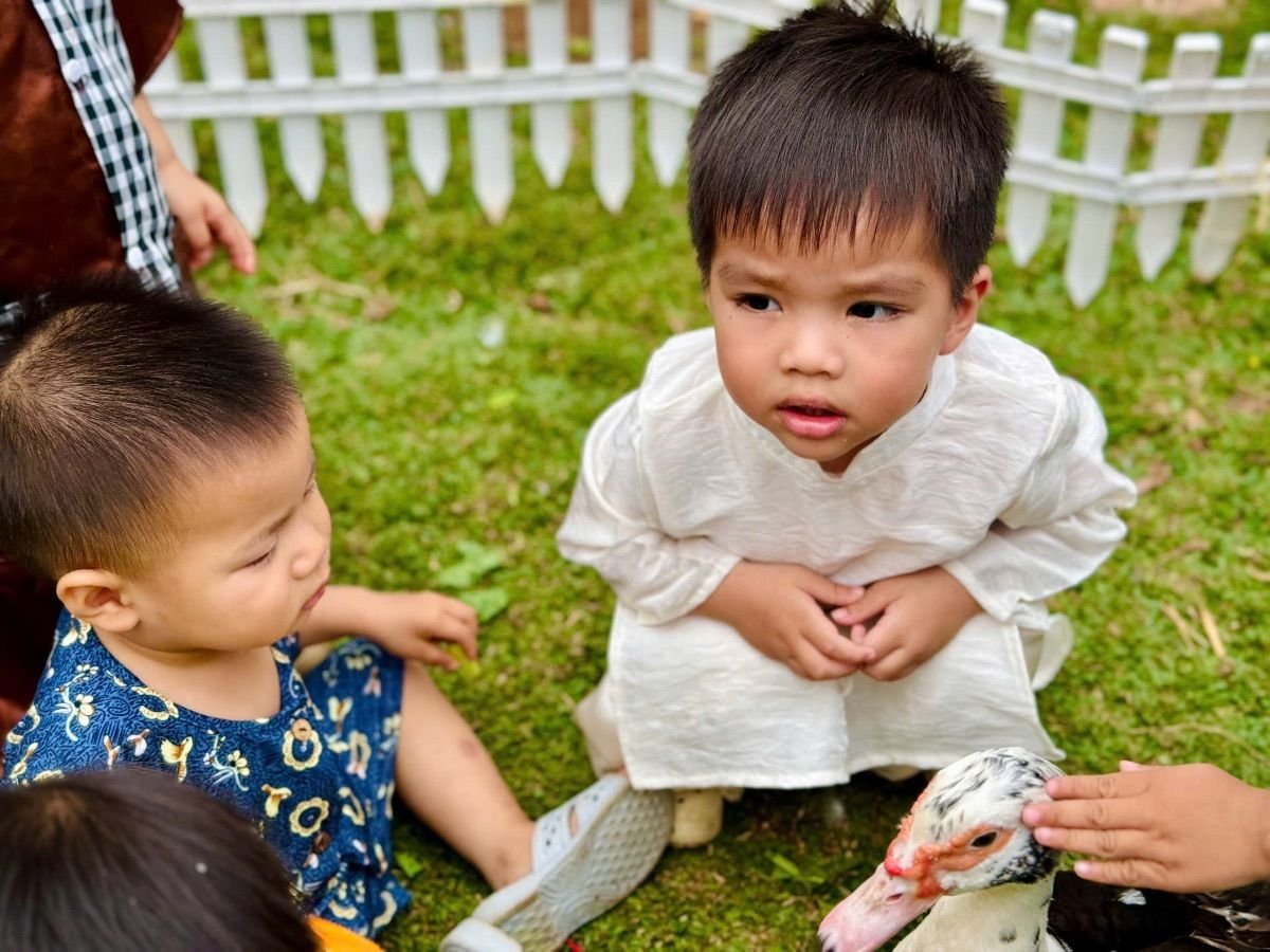 Ảnh hoạt động