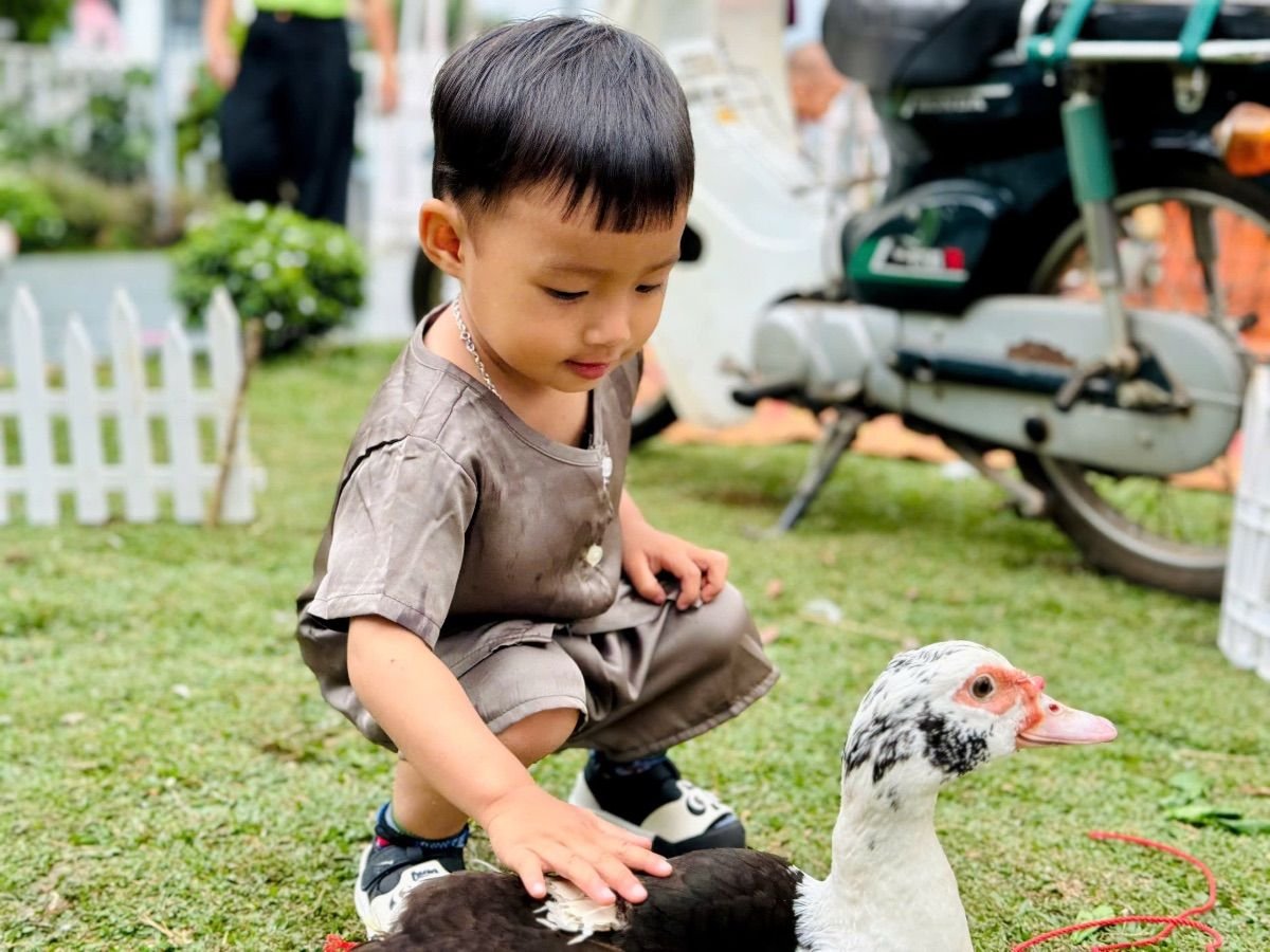 Ảnh hoạt động
