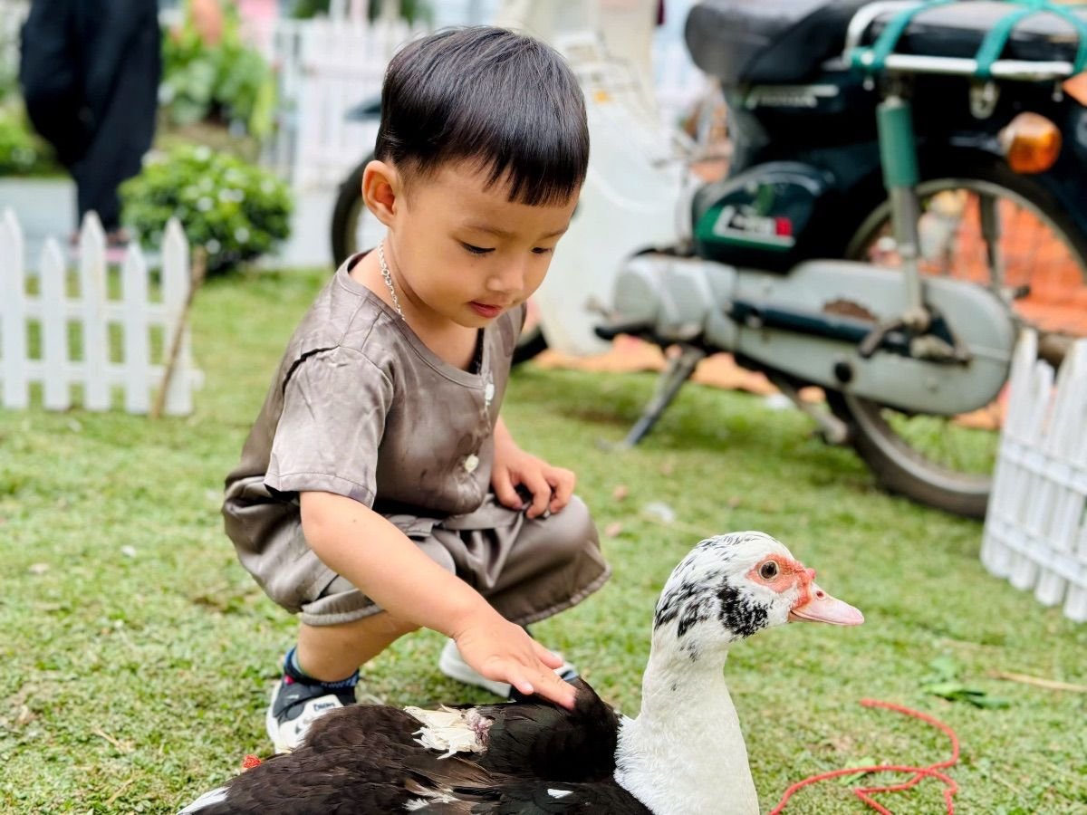 Ảnh hoạt động