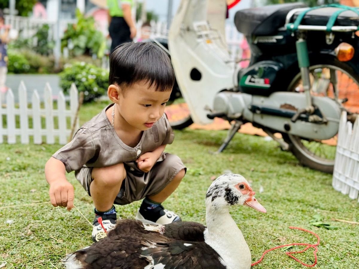 Ảnh hoạt động