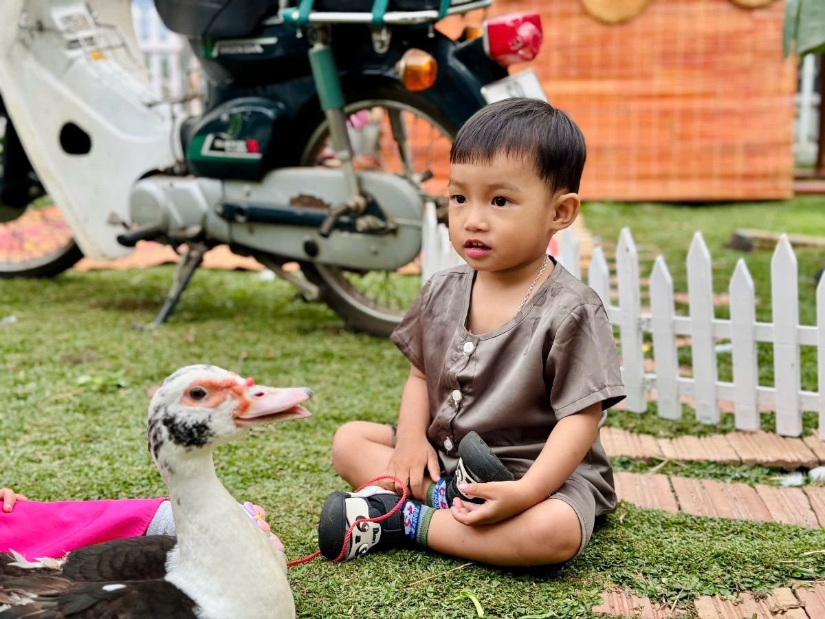 Ảnh hoạt động