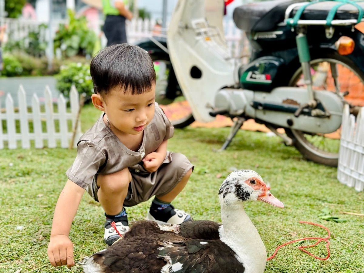Ảnh hoạt động