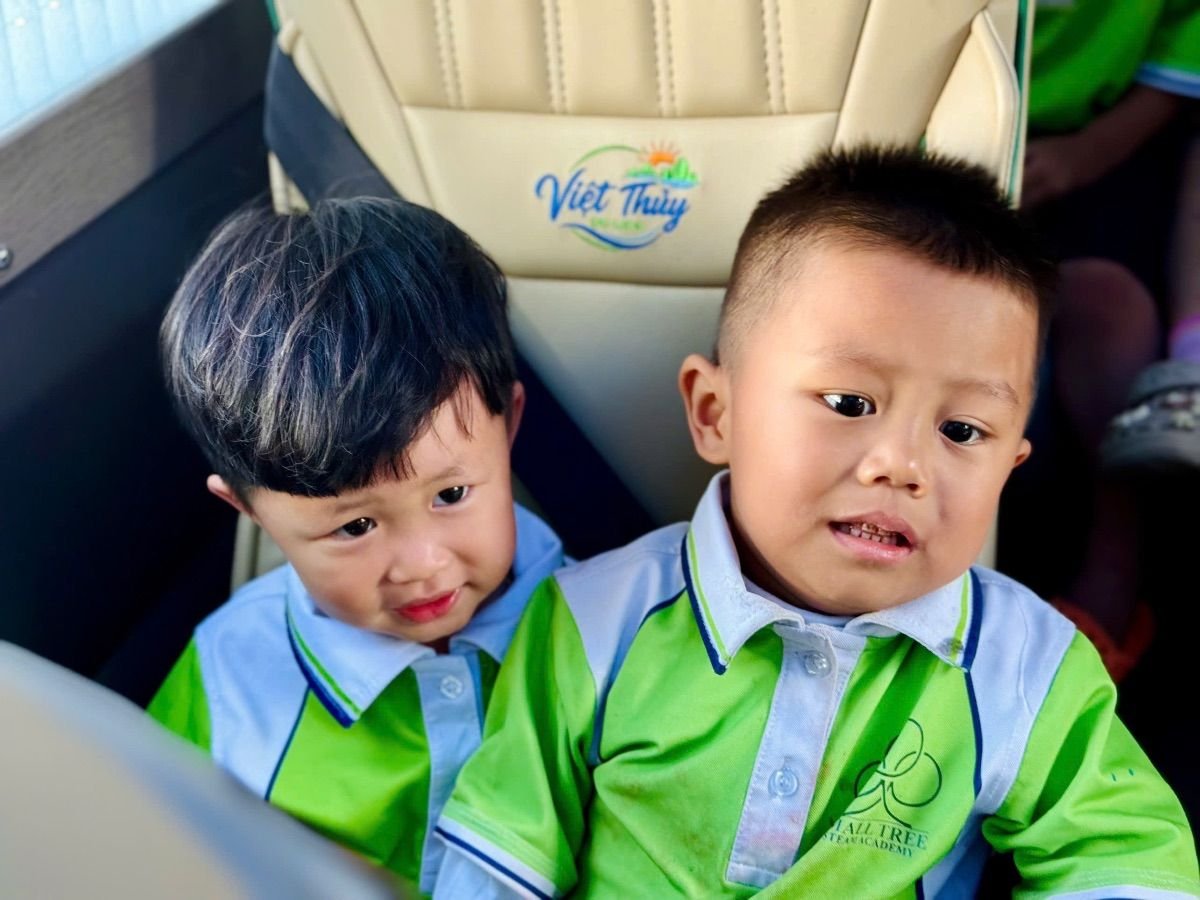 Ảnh hoạt động