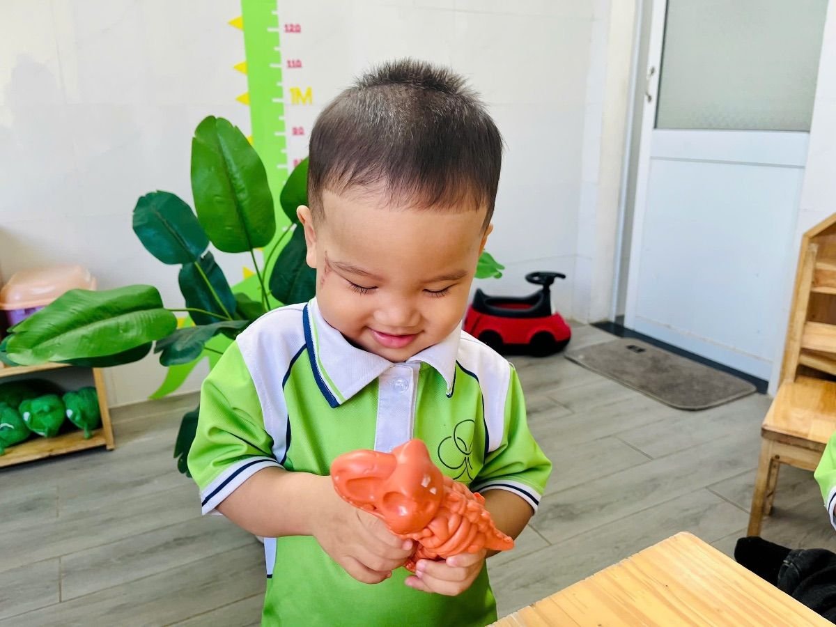 Ảnh hoạt động