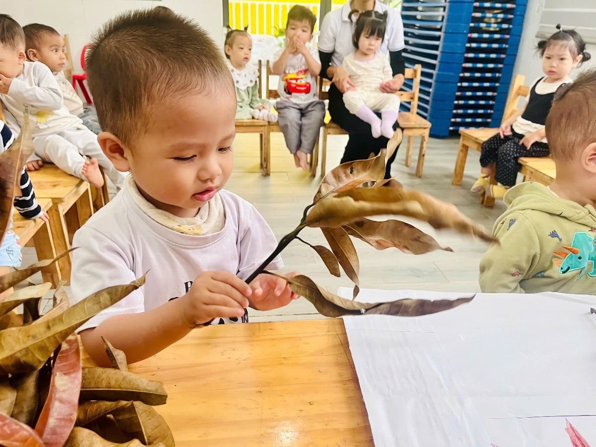 Ảnh hoạt động