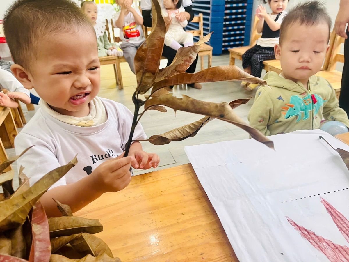 Ảnh hoạt động