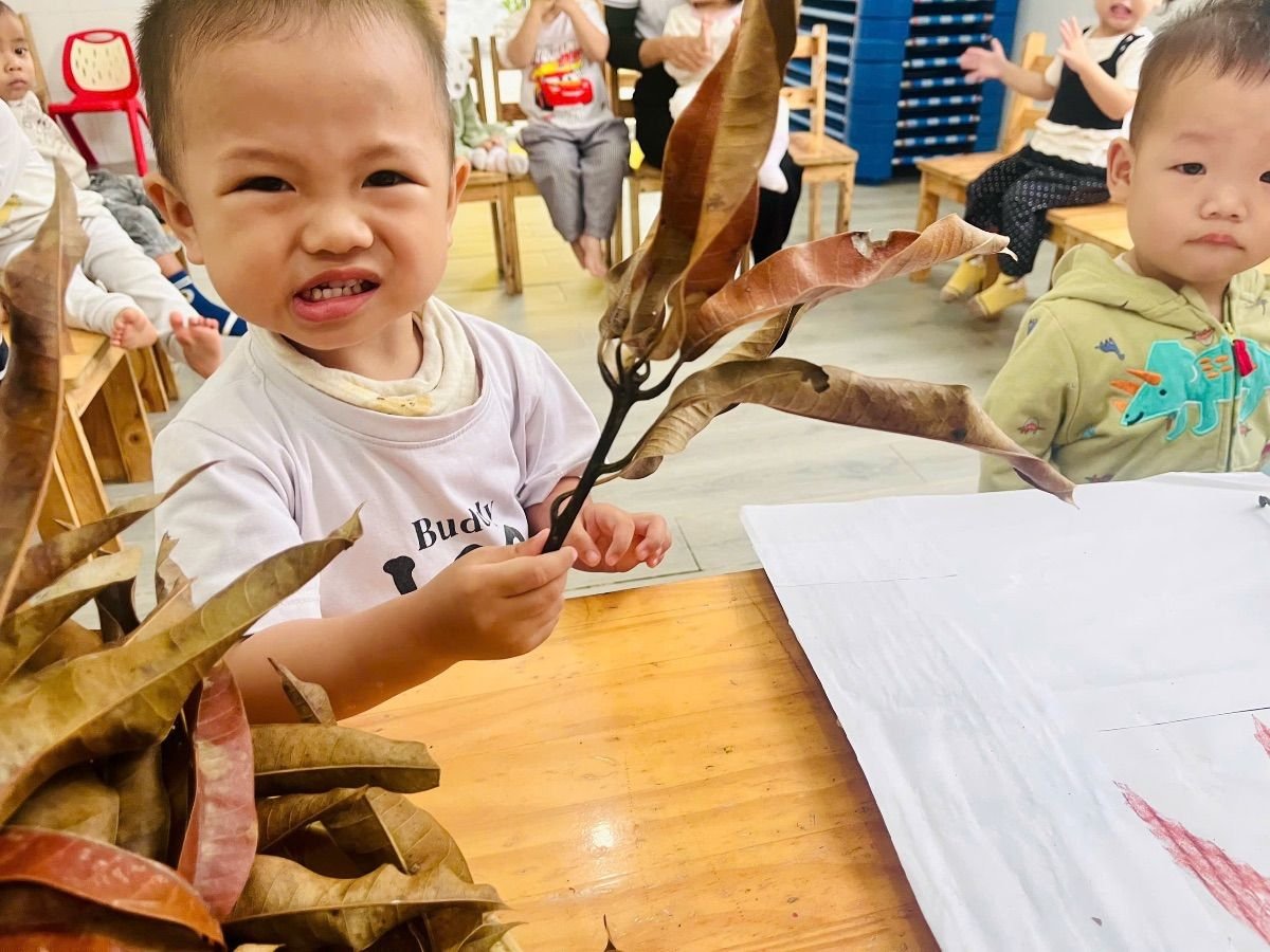Ảnh hoạt động