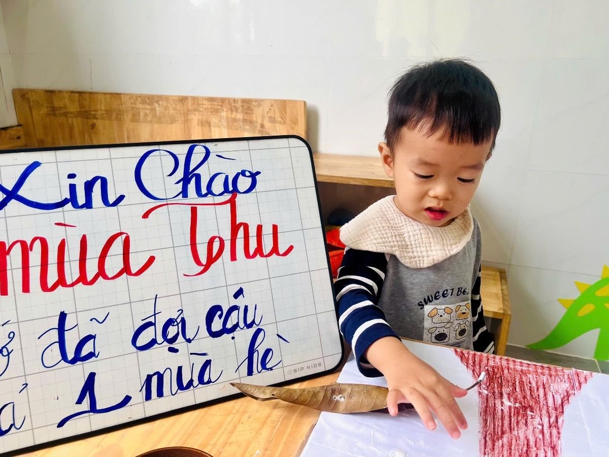 Ảnh hoạt động
