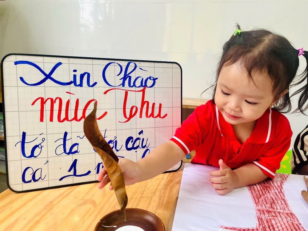 Ảnh hoạt động