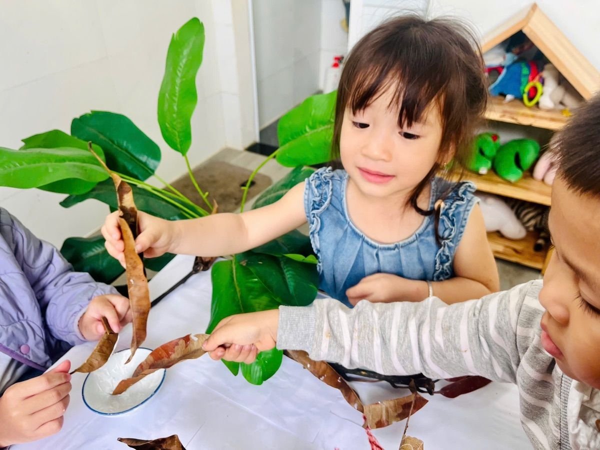 Ảnh hoạt động