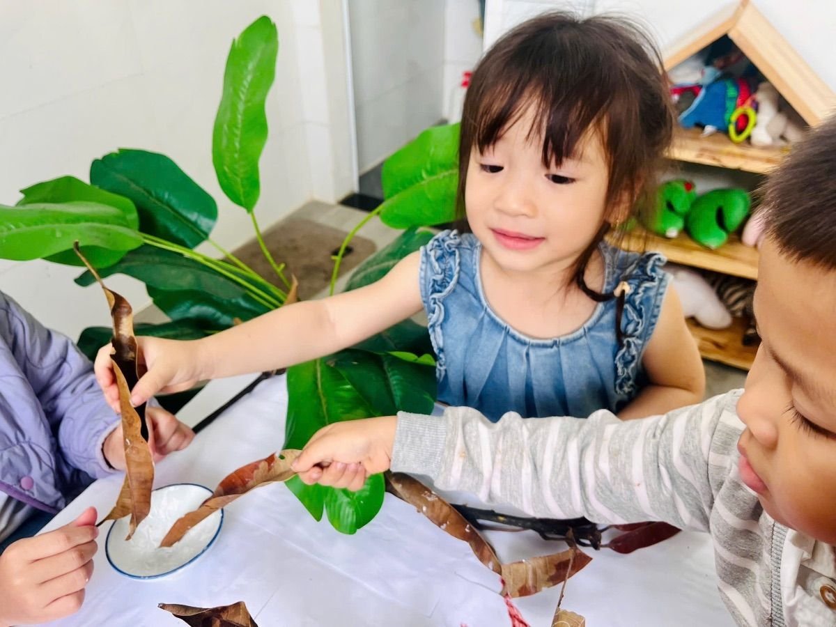 Ảnh hoạt động