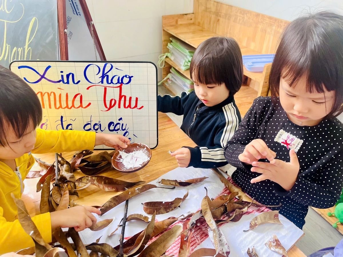 Ảnh hoạt động