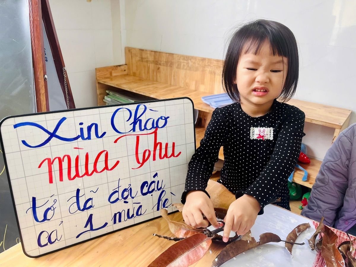 Ảnh hoạt động