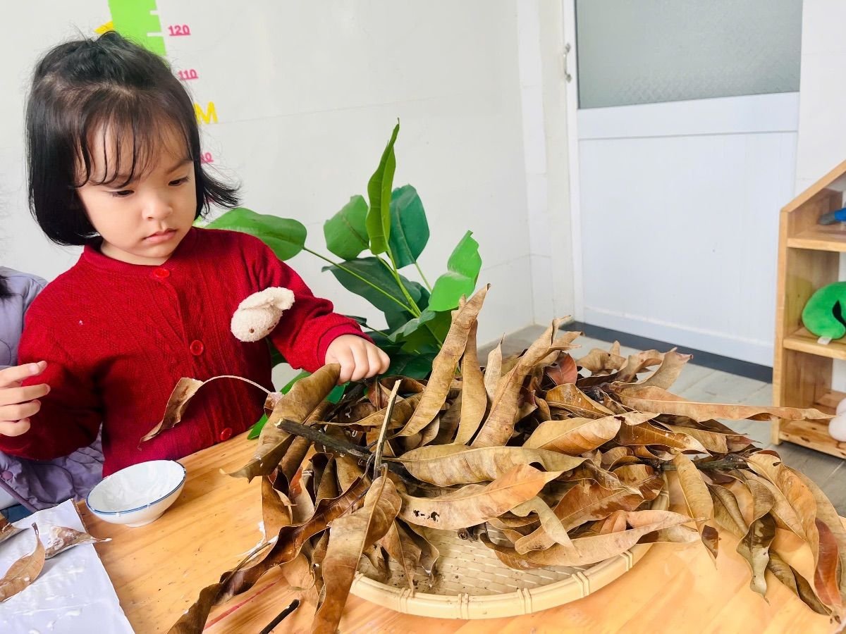 Ảnh hoạt động
