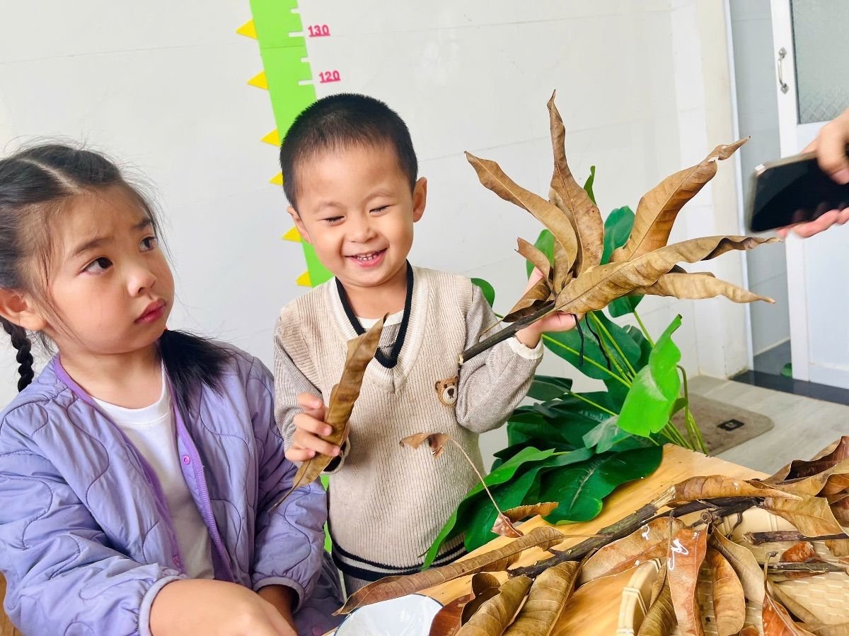 Ảnh hoạt động