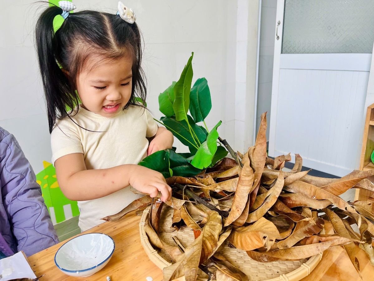 Ảnh hoạt động
