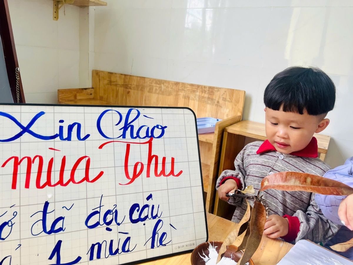Ảnh hoạt động
