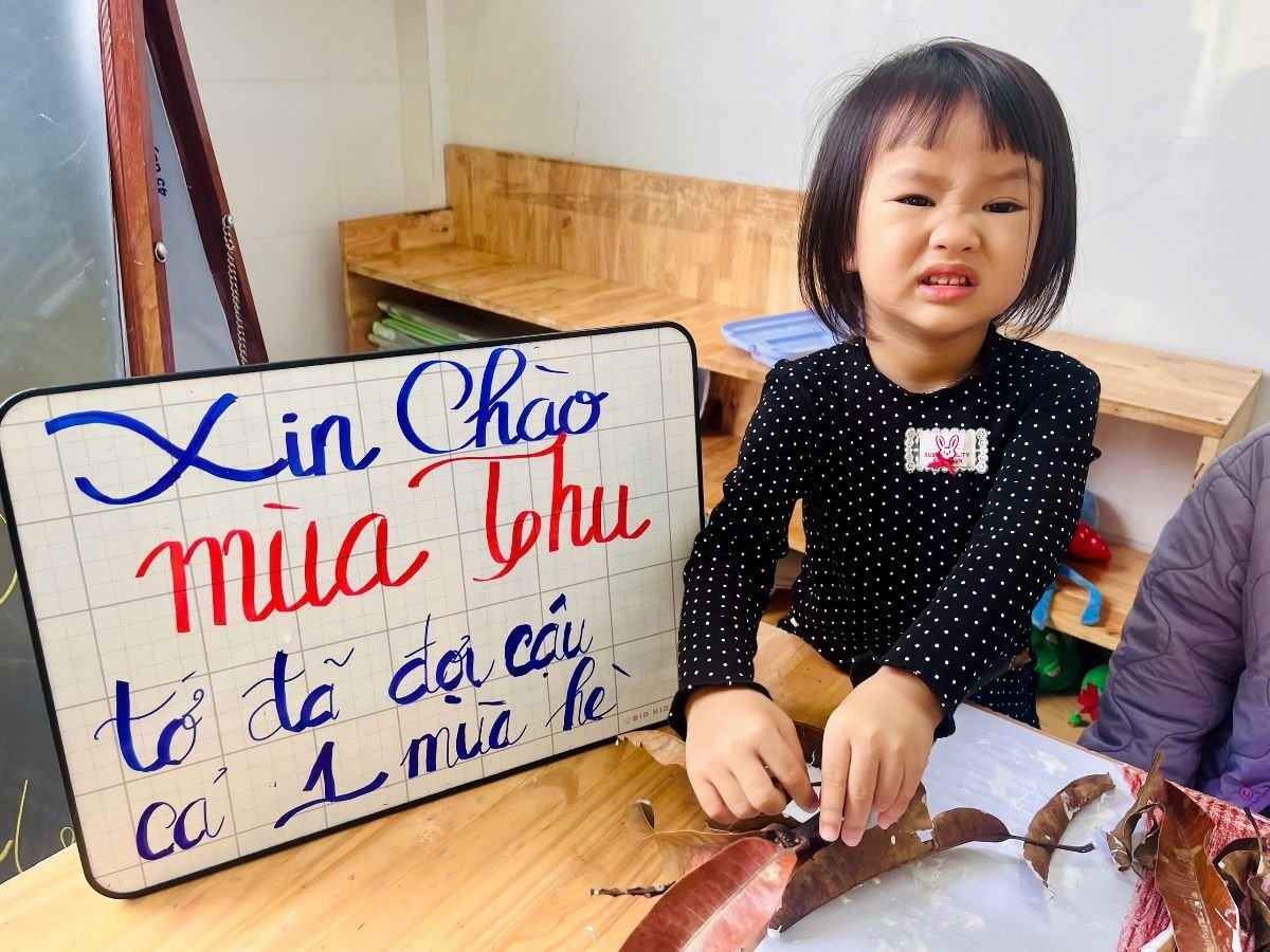Ảnh hoạt động