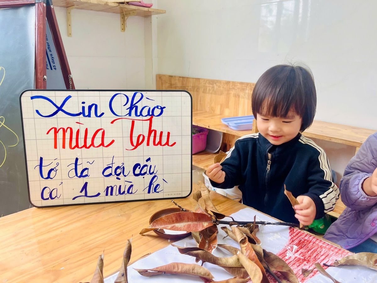 Ảnh hoạt động