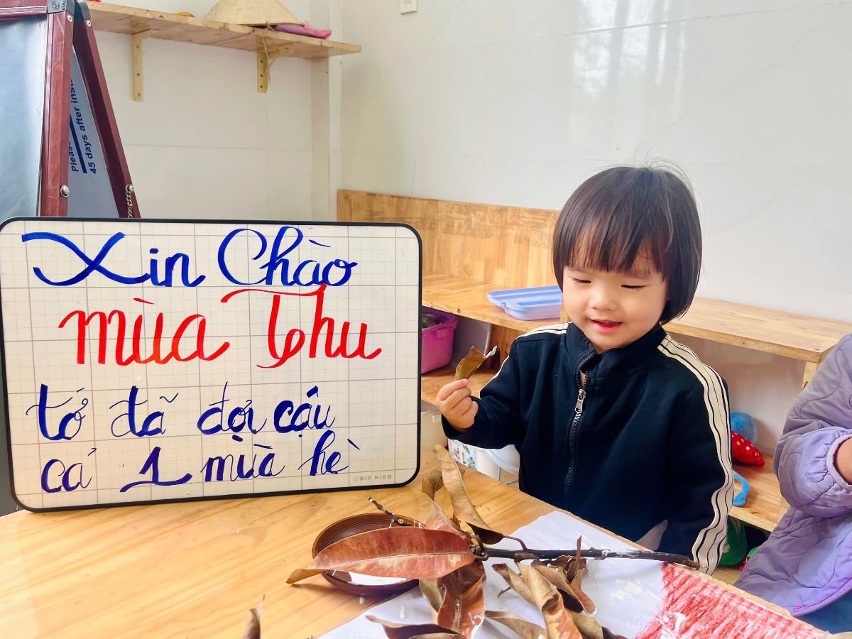 Ảnh hoạt động