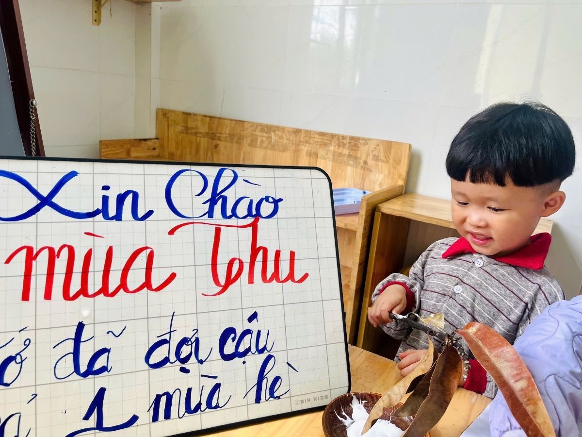 Ảnh hoạt động