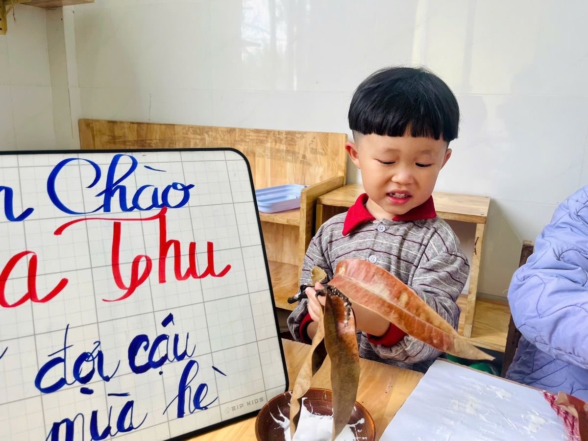 Ảnh hoạt động