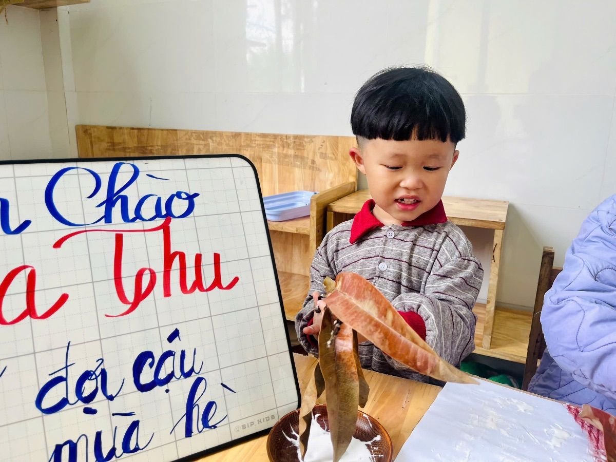 Ảnh hoạt động