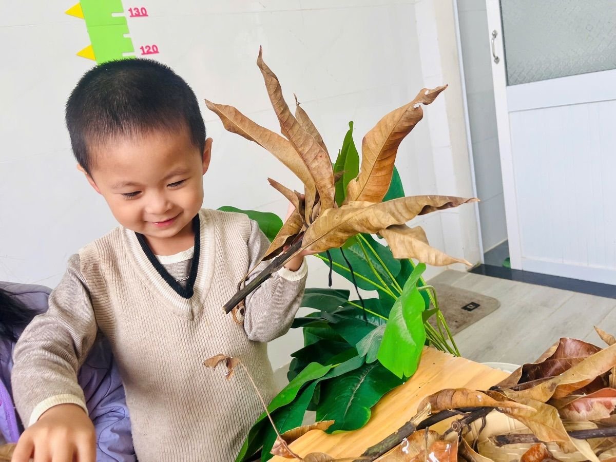 Ảnh hoạt động