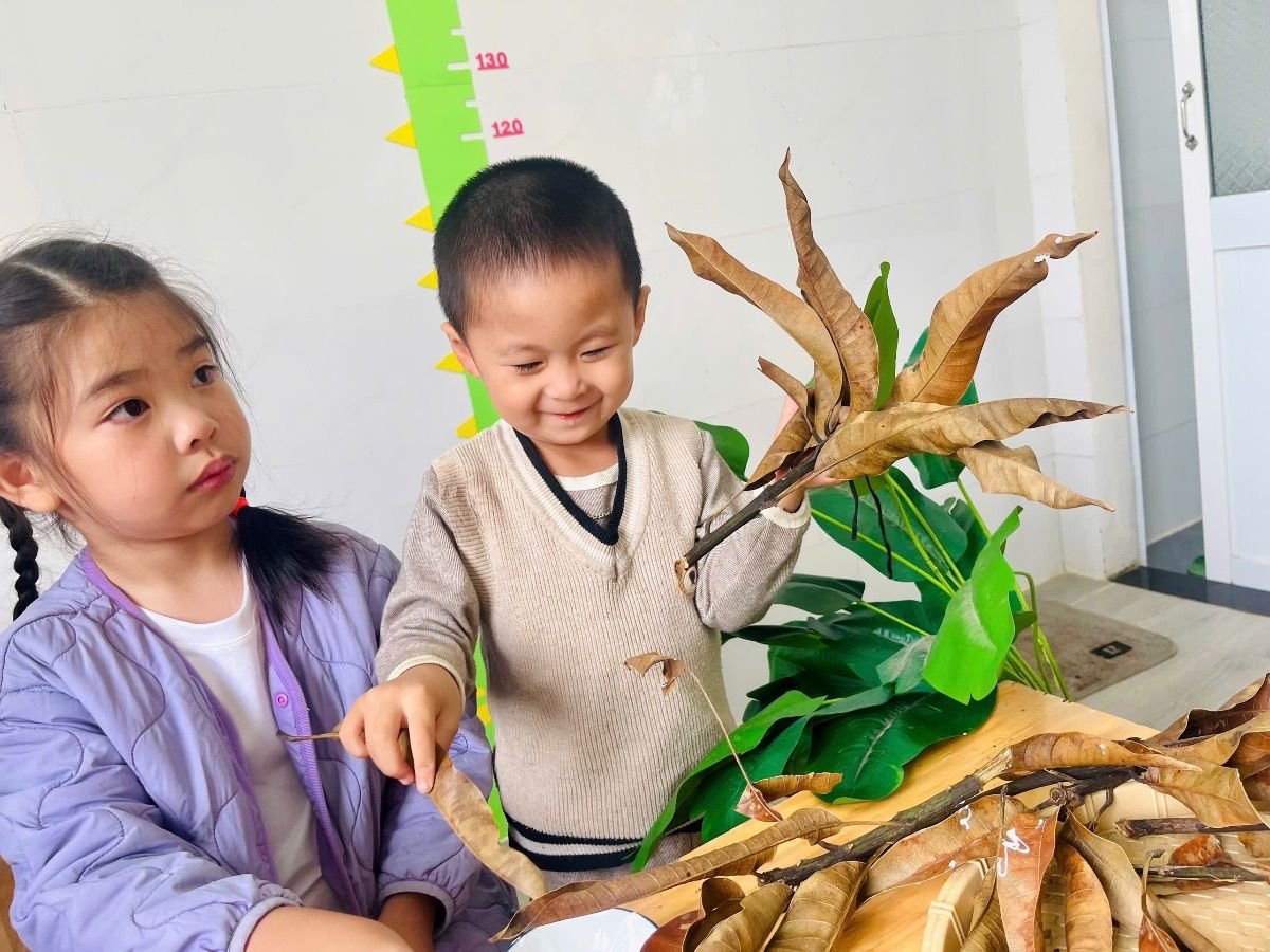 Ảnh hoạt động
