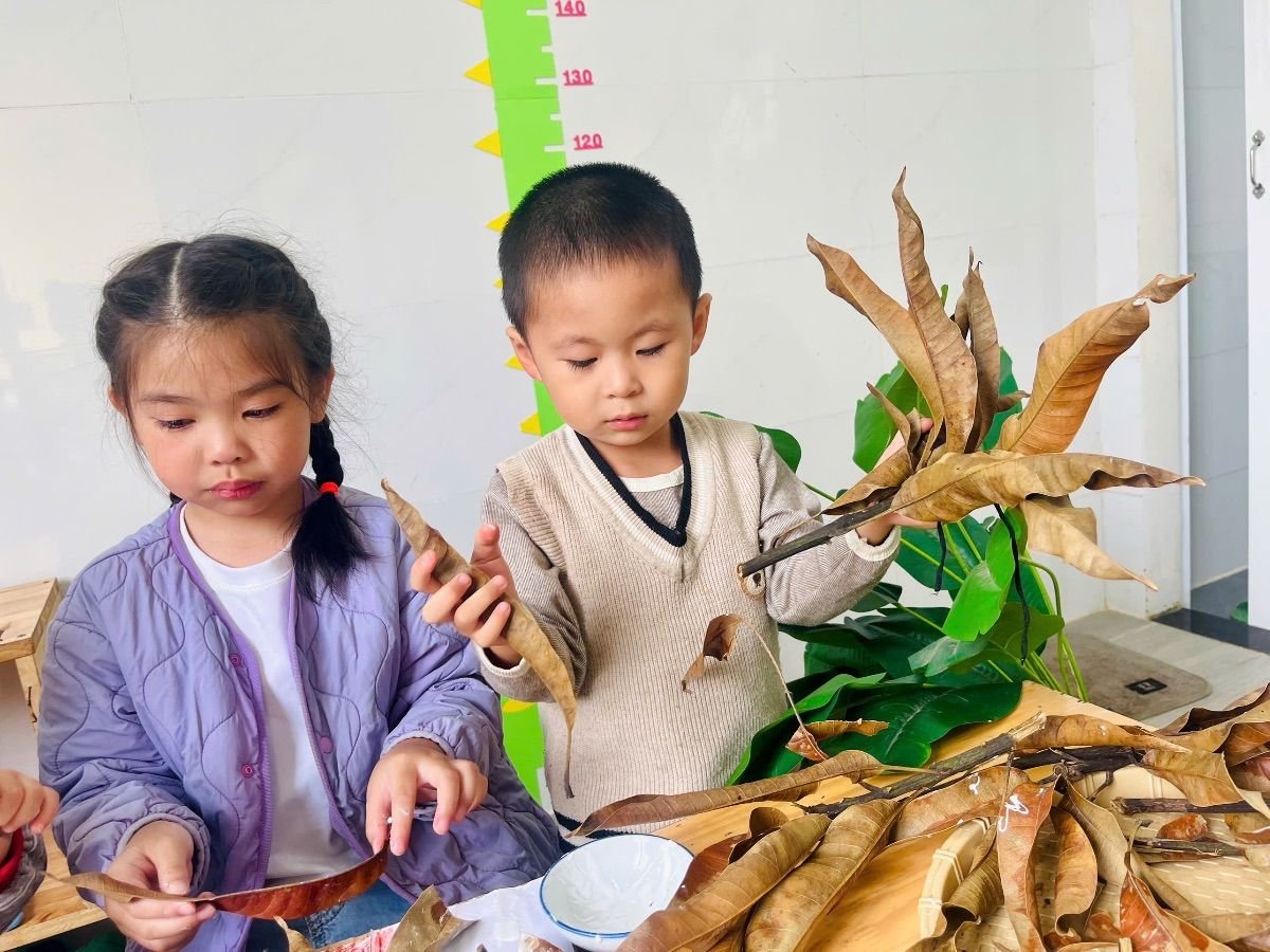 Ảnh hoạt động