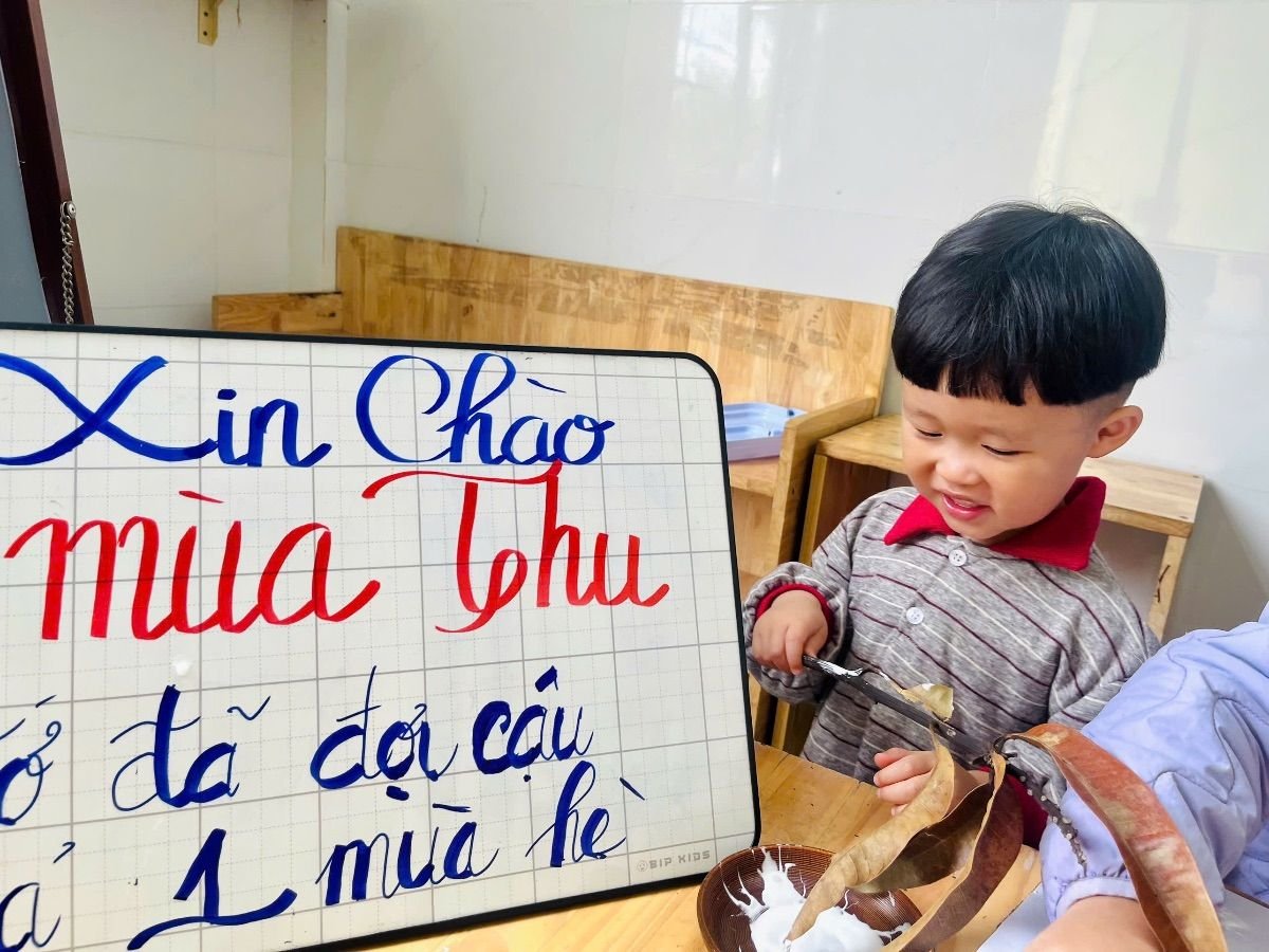 Ảnh hoạt động