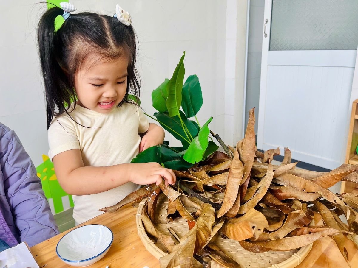Ảnh hoạt động