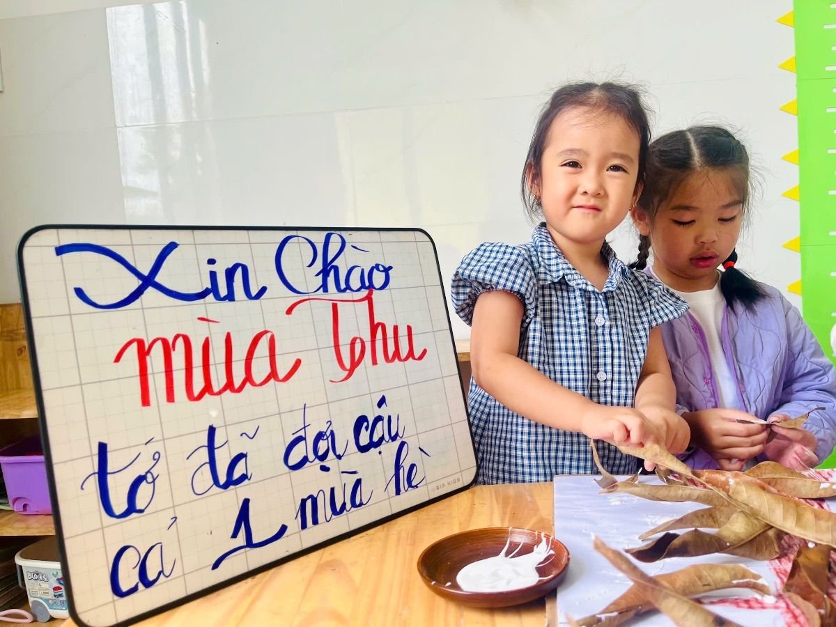 Ảnh hoạt động