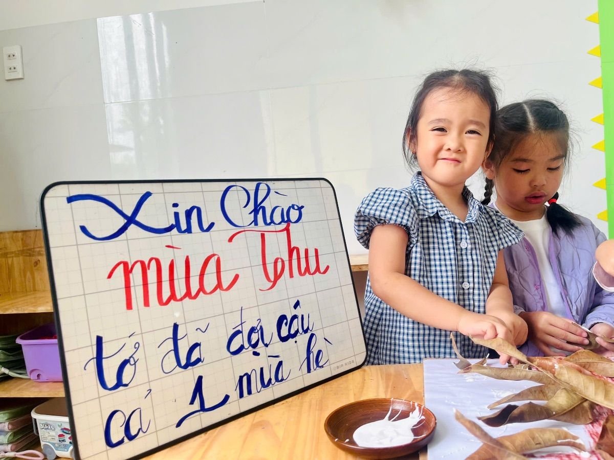 Ảnh hoạt động