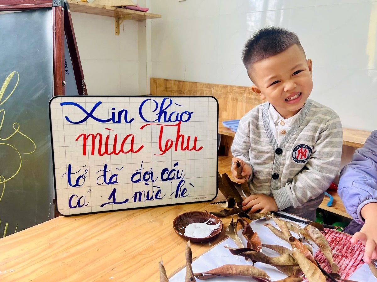 Ảnh hoạt động