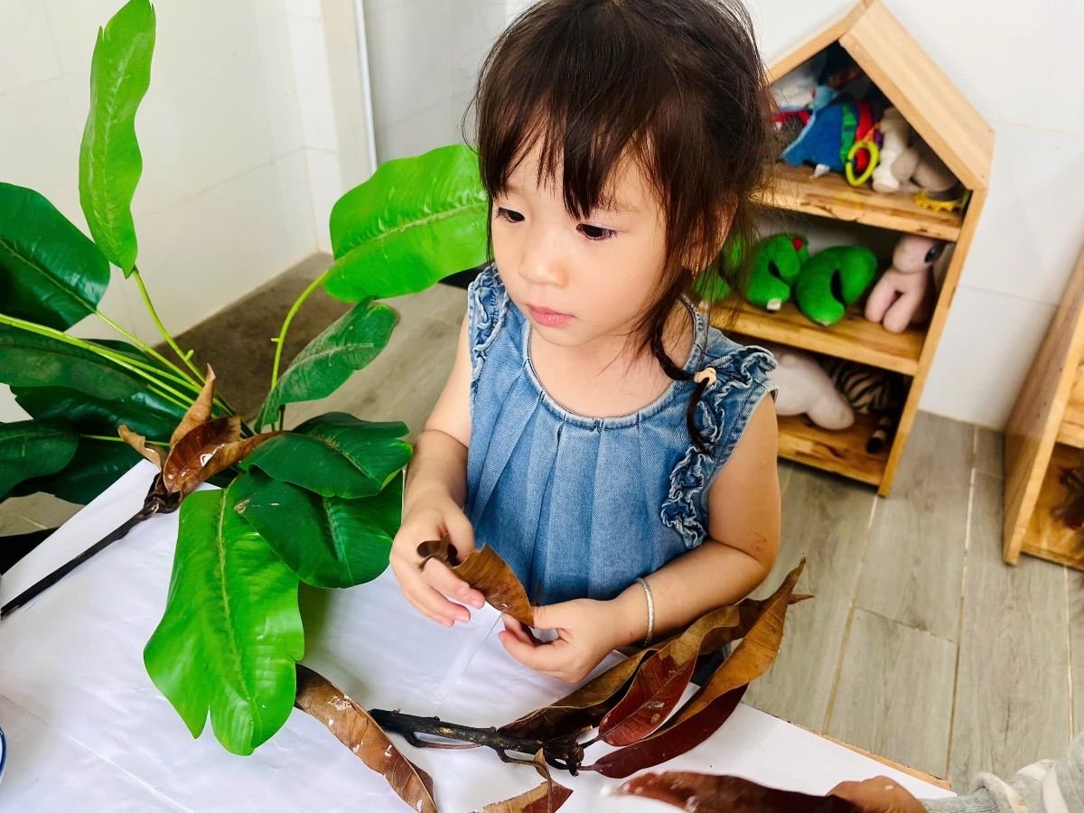 Ảnh hoạt động