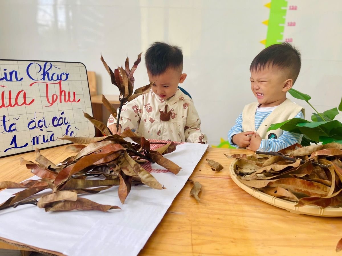 Ảnh hoạt động