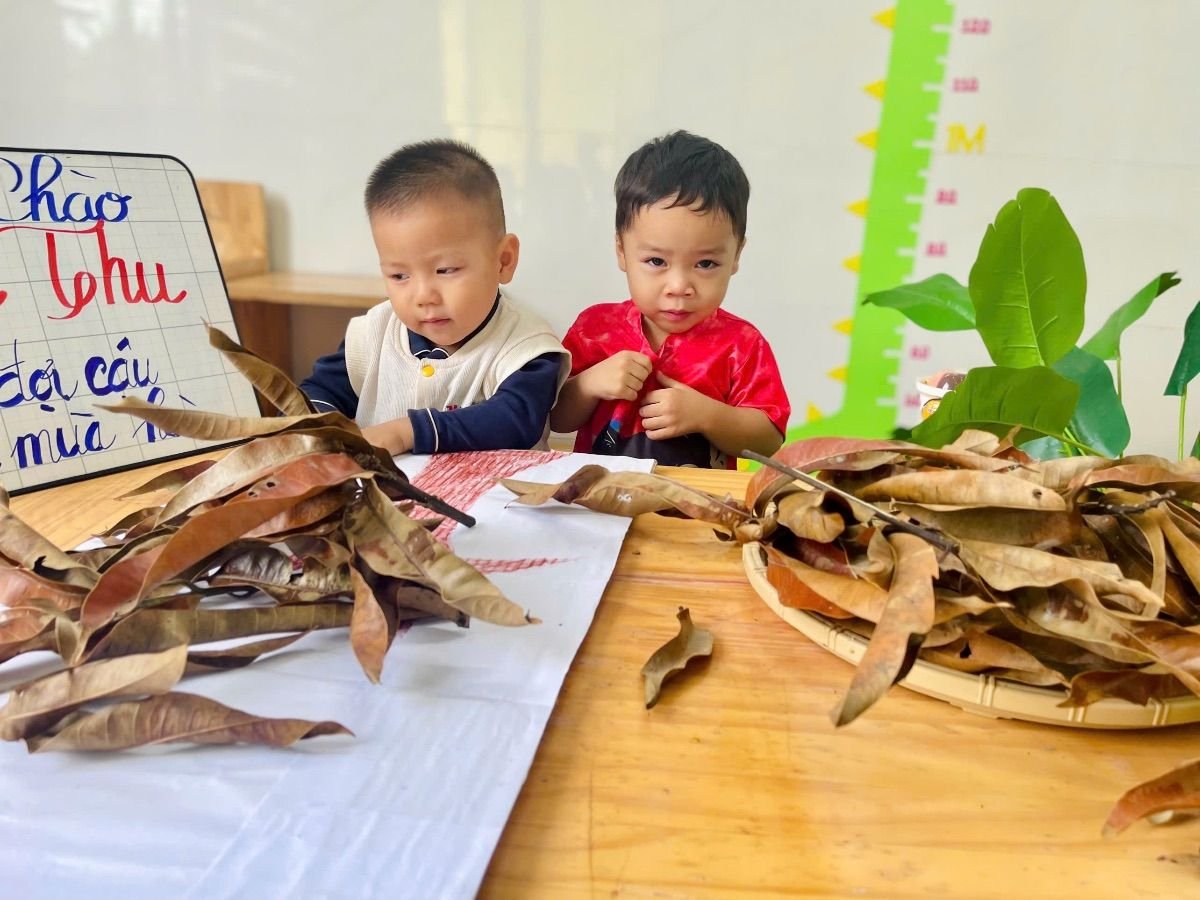 Ảnh hoạt động