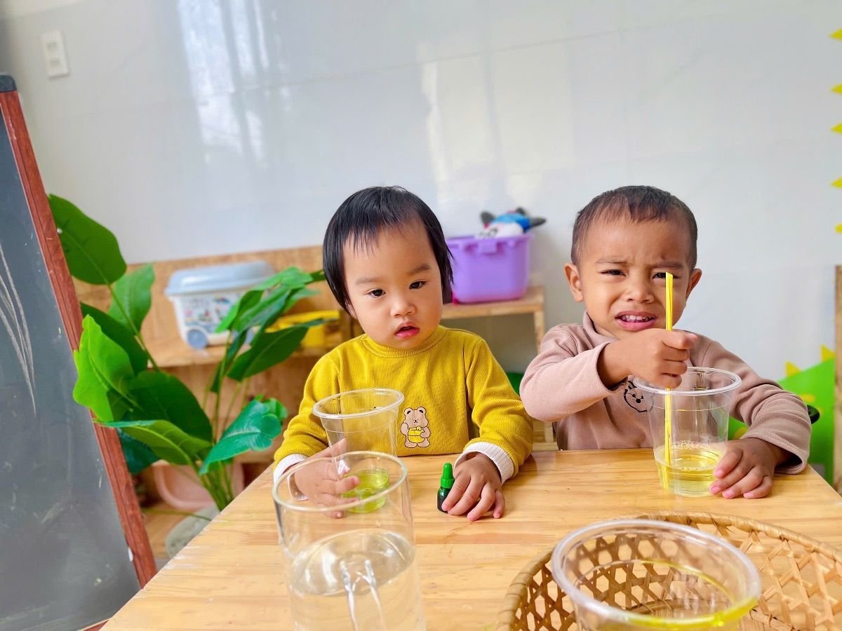 Ảnh hoạt động