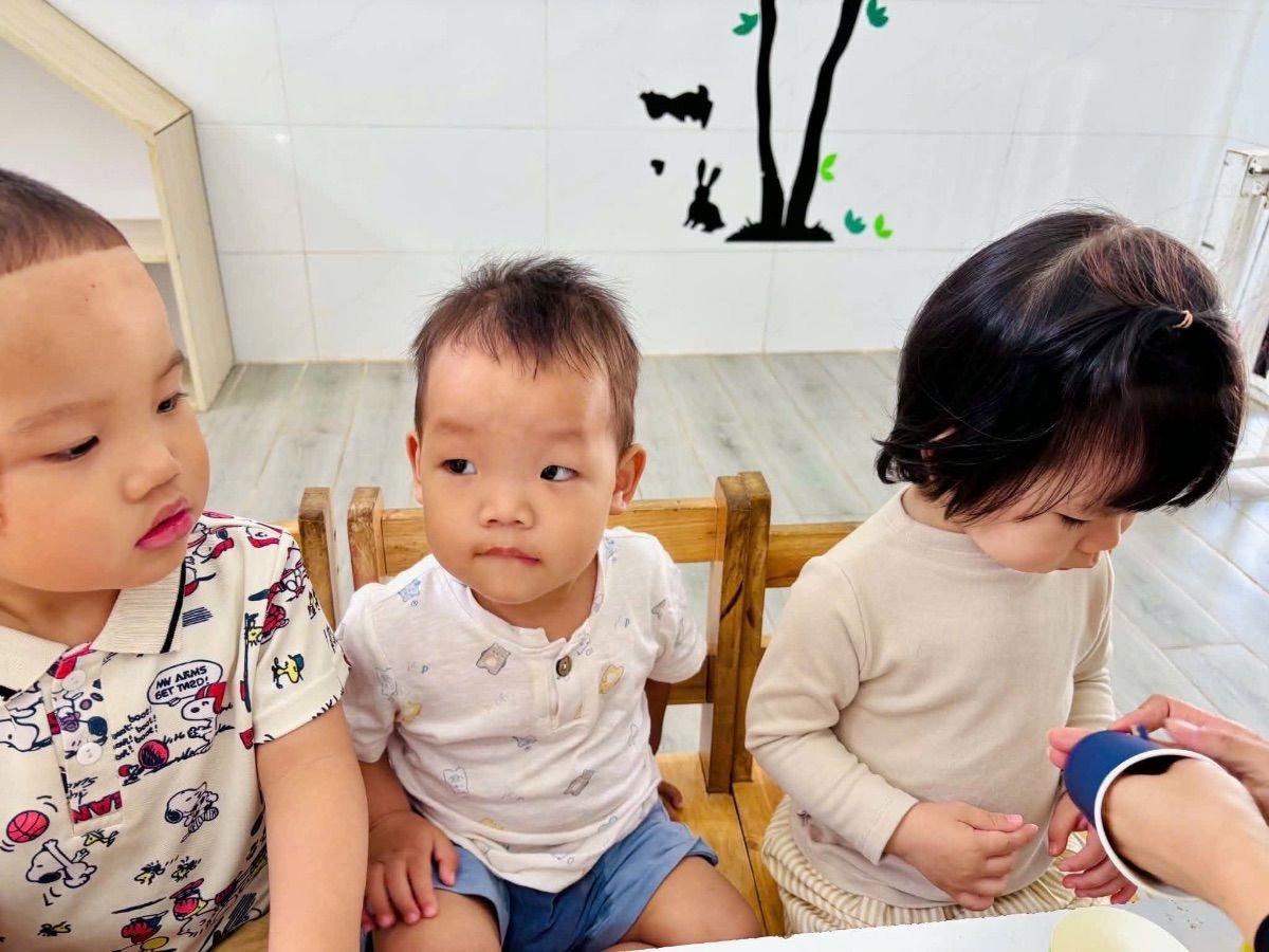 Ảnh hoạt động