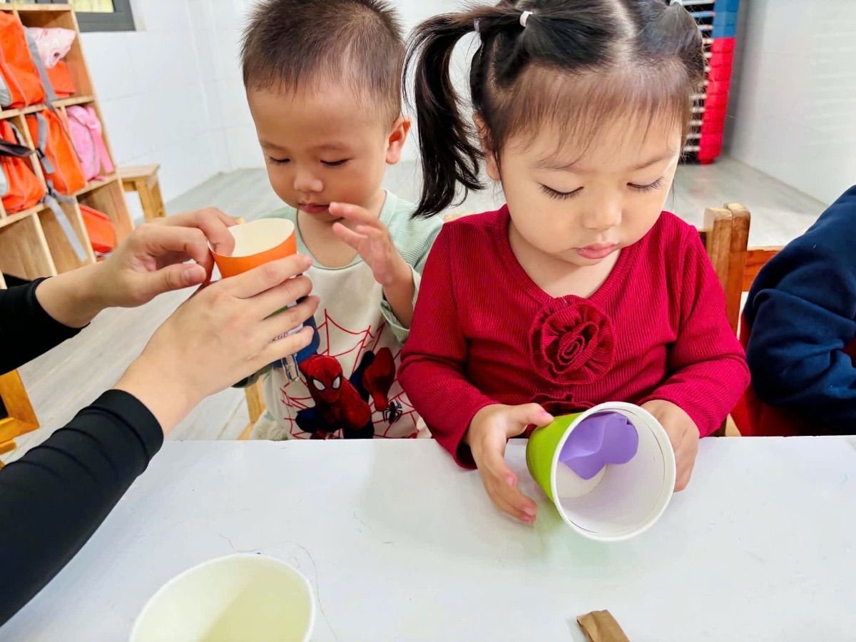 Ảnh hoạt động