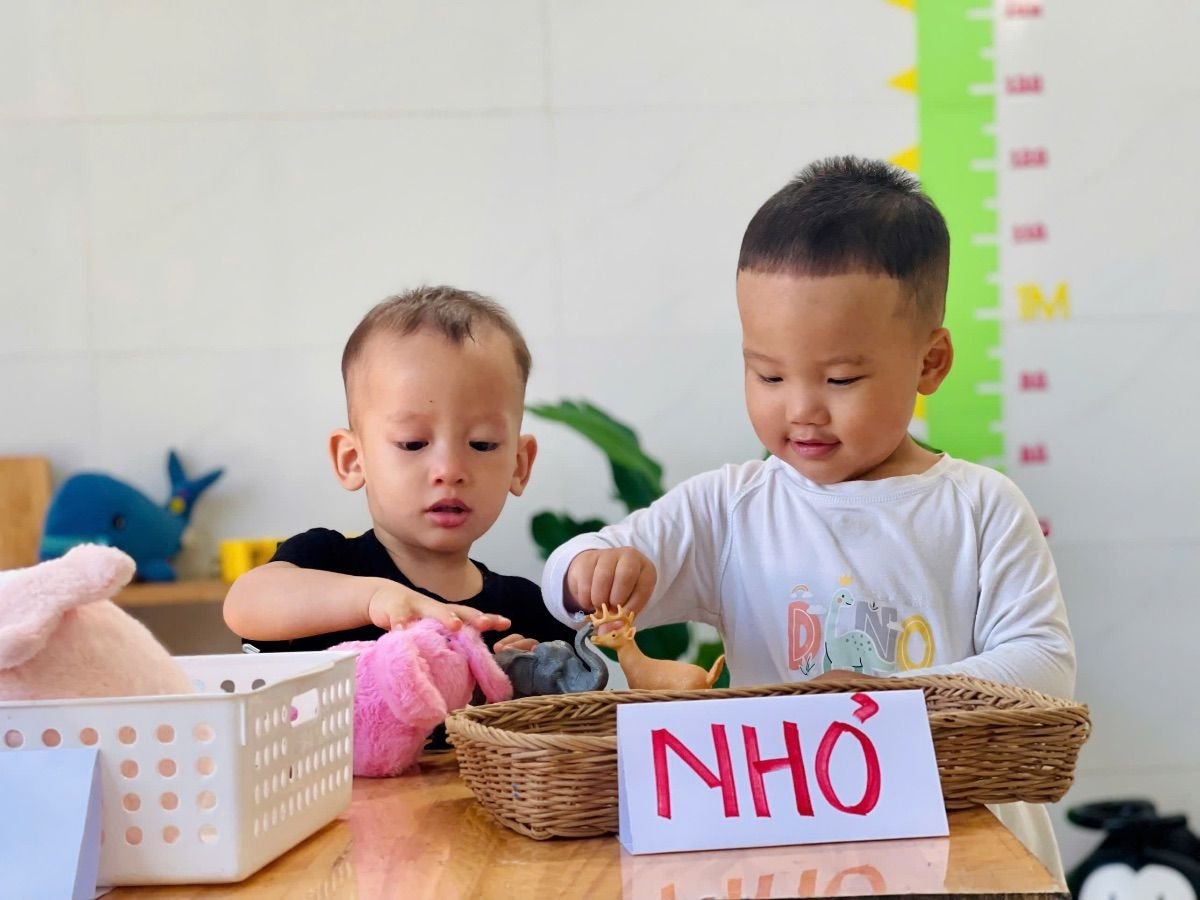 Ảnh hoạt động