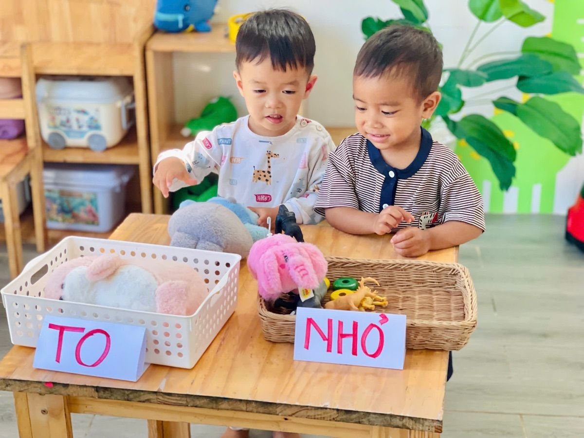Ảnh hoạt động