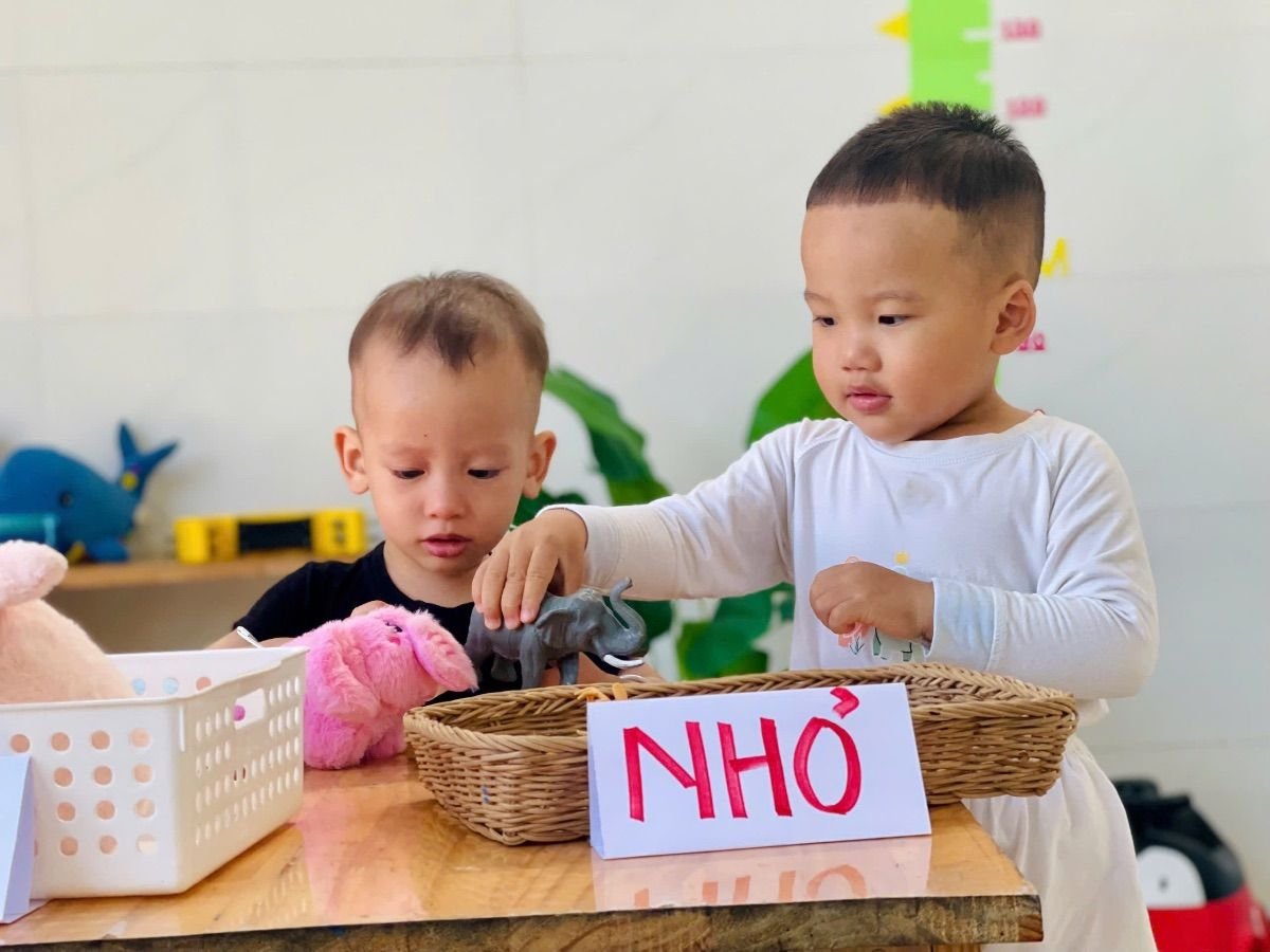 Ảnh hoạt động