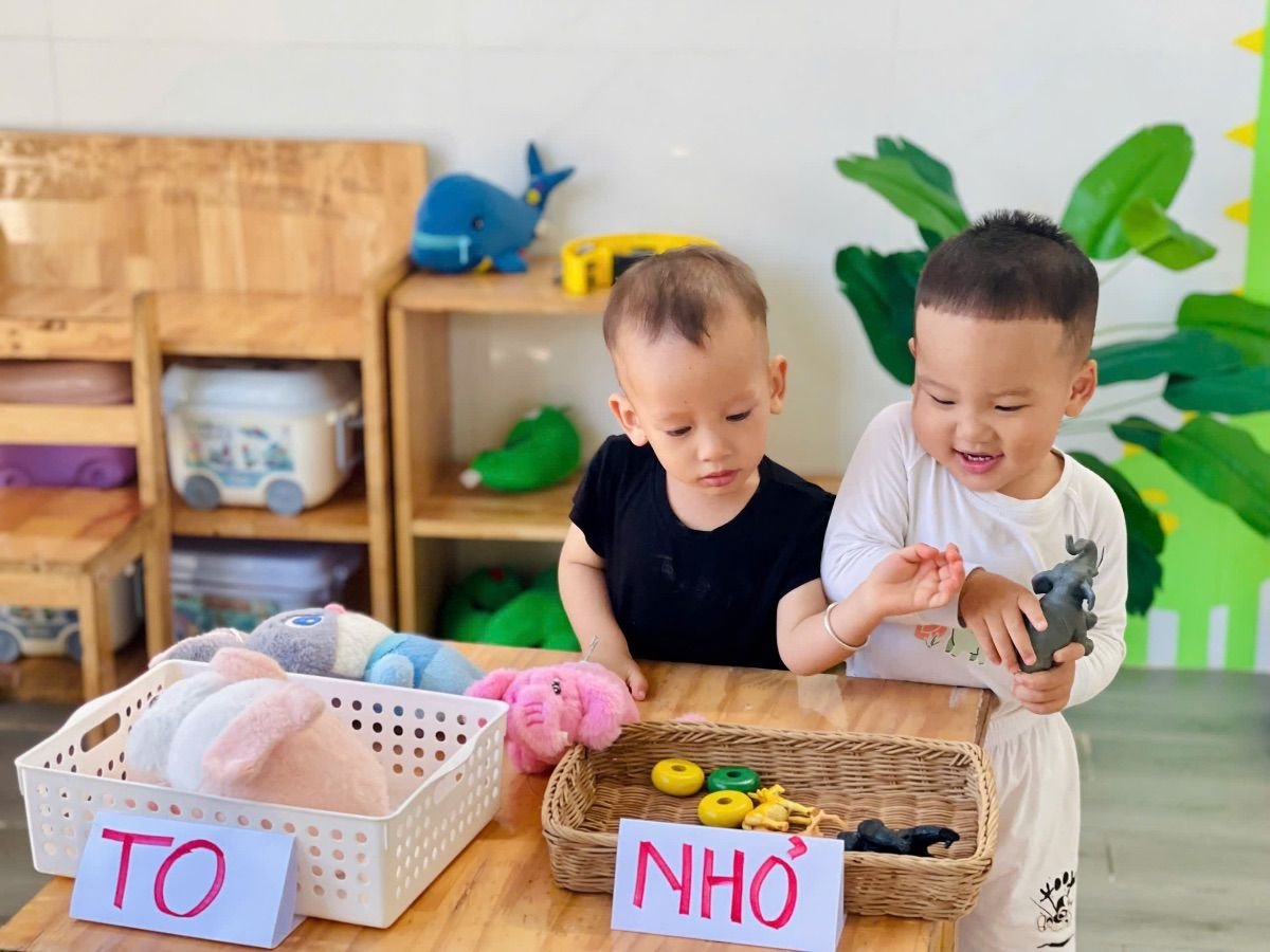 Ảnh hoạt động