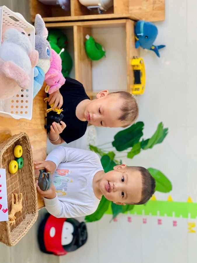 Ảnh hoạt động
