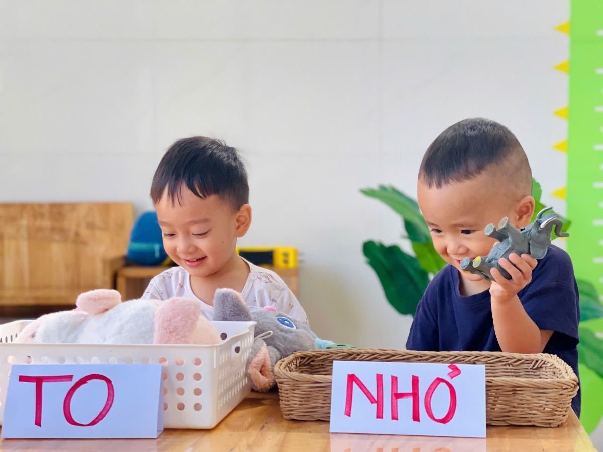 Ảnh hoạt động