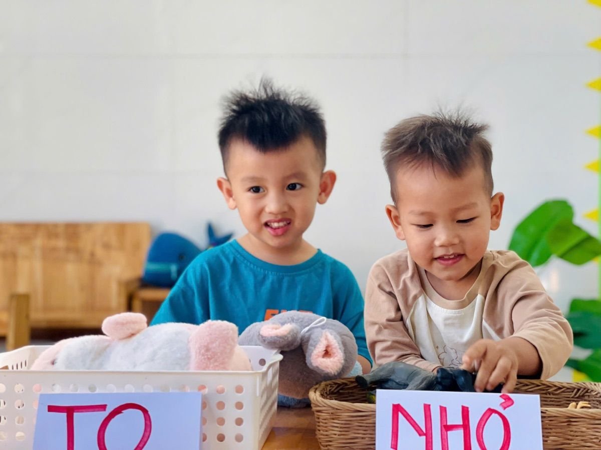 Ảnh hoạt động